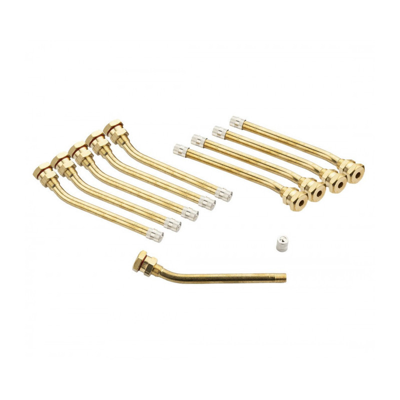 Valvola per PL V3.20.6 Tipo Michelin 1487 o 119MS (confezione da 10)