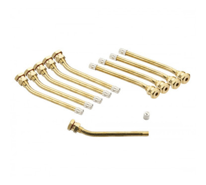 Valve pour PL V3.20.6 Type Michelin 1487 ou 119MS (sachet de 10)